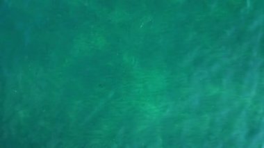 Deniz veya okyanusun insansız hava aracı görüntüsü