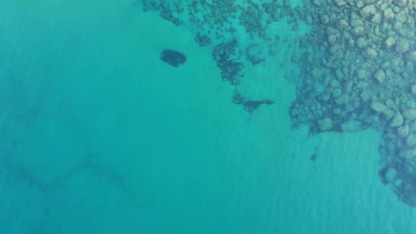 Скелясте Узбережжя Вид Дрона — стокове відео
