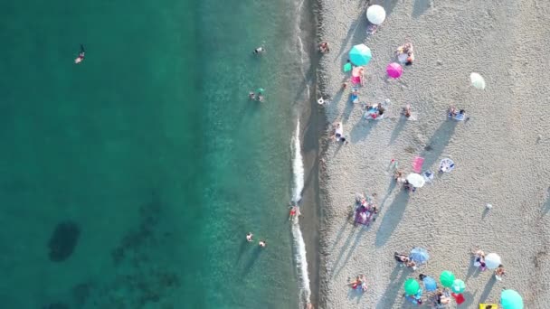 Пляж Отдыхающими Вид Вертолета — стоковое видео