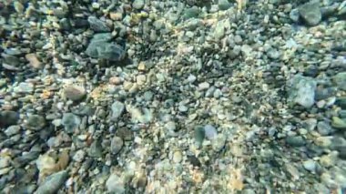 Kayalık dipli berrak deniz suyu