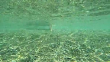 Anaokulu kızı şişme bir yüzükle suya giriyor. Su altı çekimleri