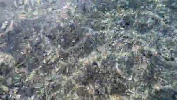 清澈的海水水和岩石的海底 — 图库视频影像