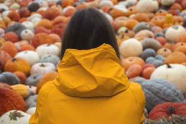 Young woman with her back in a yellow raincoat against the background of pumpkins.