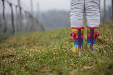 Lastik çizmeli bir çocuk üzüm bağlarında yürüyor..