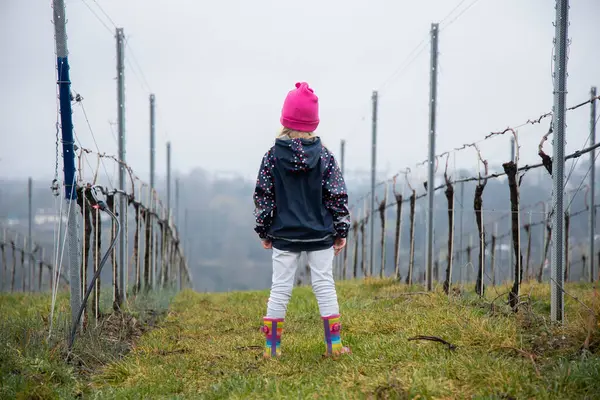 Bir çocuk üzüm bağları ve güzel manzarası olan bir tepede duruyor..