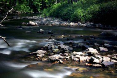 Vahşi doğada ilkbahar şelalesi