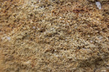 Ayrıntılı doku bir kumtaşı