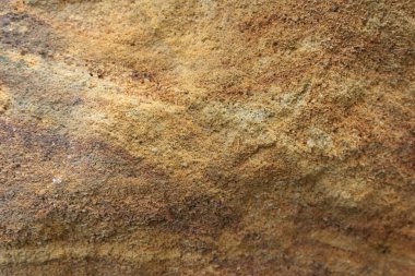 Ayrıntılı doku bir kumtaşı