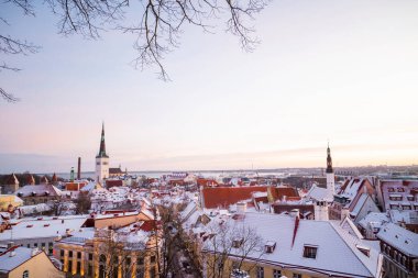 Tallinn Estonya 'nın merkezindeki evlerin çatılarındaki eski kasaba ve belediye binasının manzarası