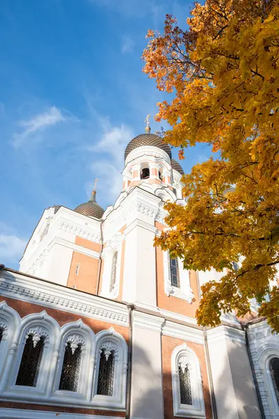 Eski Estonya şehrinin merkezindeki Alexander Nevsky Katedrali Tallinn