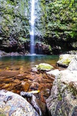 Caldeirao Verde Levada 'da yüksek bir şelale 100 metre yükseklikten yeşil bir kazana düşüyor..