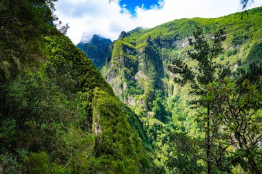 Caldeirao Verde, adadaki en güzel levadalardan biri. 880 metre irtifada yer alıyor..