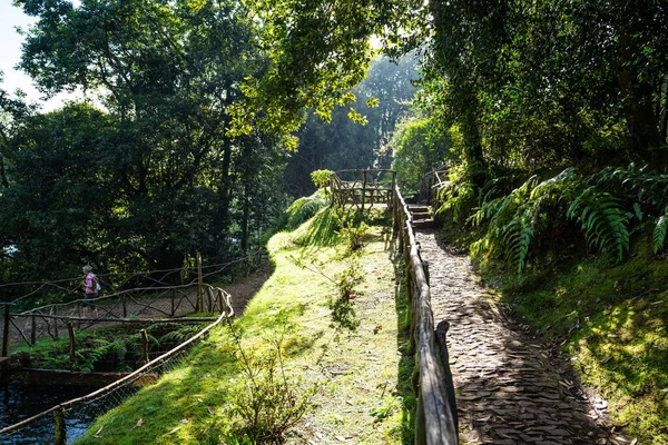 Caldeirao Verde, adadaki en güzel levadalardan biri. 880 metre irtifada yer alıyor..