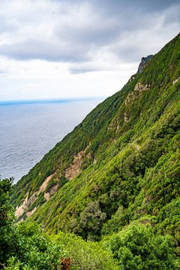Larano sırtı yürüyüşü yap, Porto da Cruz. Adanın kuzey-batı sahilinin güzel manzaralı açıkta bir patika..
