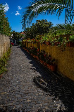 Funchal 'daki Atlantik Okyanusu' nun geleneksel kayalık kıyıları. Eylülün sonunda dalgalar alçalacak..