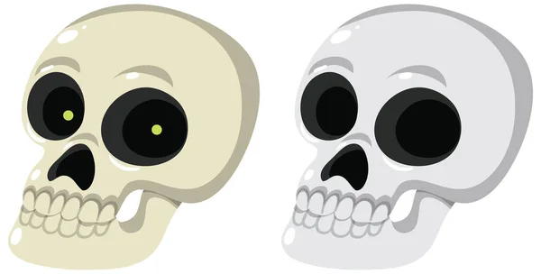 Set Human Skull White Background Illustration — Stock Vector