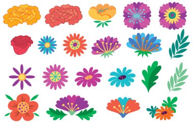 Düz çizimde renkli çiçekler serisi
