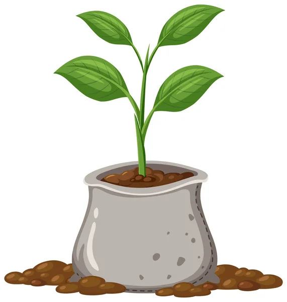 Planta Creciendo Ilustración Bolsa — Vector de stock