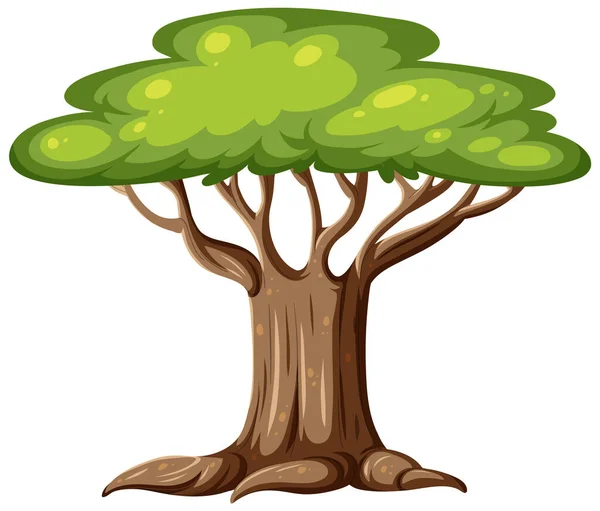 Μια Απομονωμένη Απεικόνιση Κινουμένων Σχεδίων Δέντρο — Διανυσματικό Αρχείο