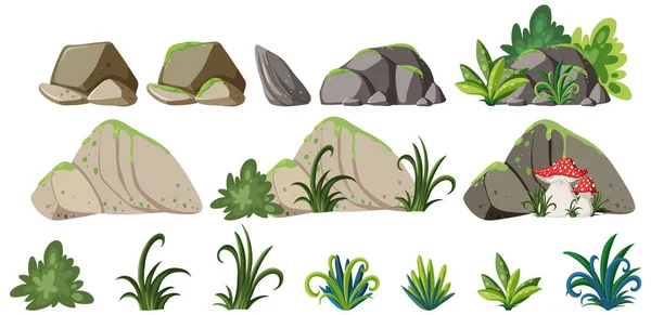 装飾イラストに岩や植物のオブジェクトのセット — ストックベクタ