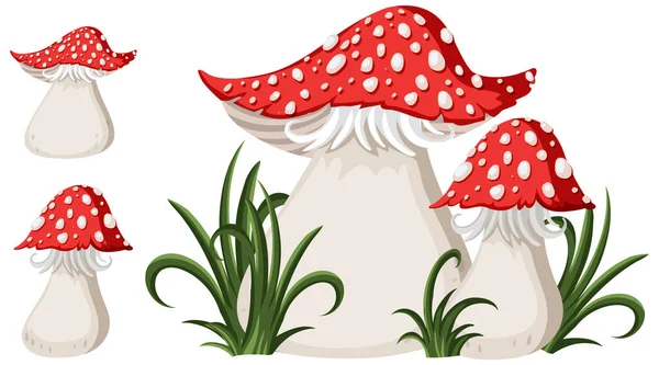 Set Cartoon Mushroom Illustration — Stock Vector