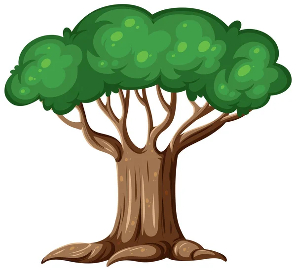 Ізольована Ілюстрація Мультфільму Дерева — стоковий вектор