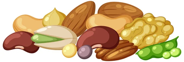 Pile Different Nuts Illustration — Stock Vector