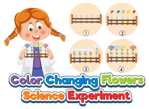 Cambio Color Flores Ciencia Experimento Ilustración — Vector de stock