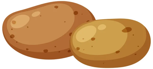 Twee Aardappelen Geïsoleerde Vector Illustratie — Stockvector