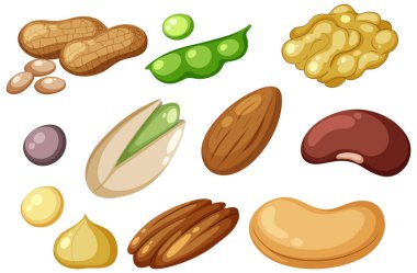 Protein Gıda Çizimi Grubu