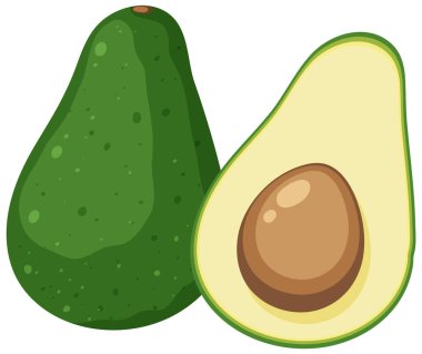 Avokado beyaz arkaplan resimlerinde izole edildi