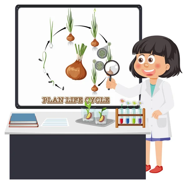 Dziecko Wyjaśniające Części Ilustracji Roślin — Wektor stockowy
