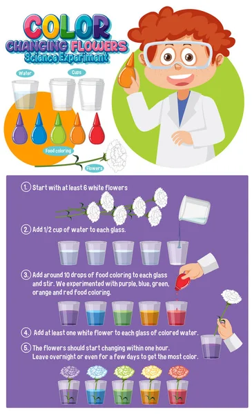 Farbwechsel Blumen Wissenschaftliches Experiment Illustration — Stockvektor