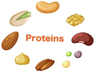 Fındık illüstrasyonlu lif metni