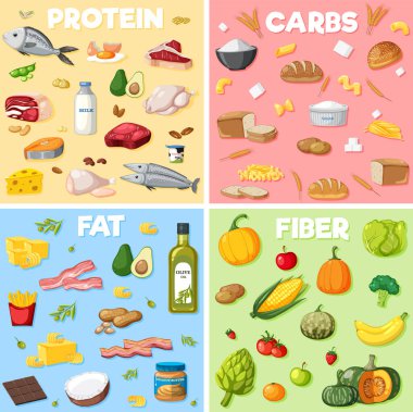 Dört ana besin grubu çizimi