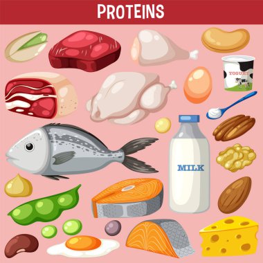 Metin illüstrasyonlu protein etlerinin çeşitliliği