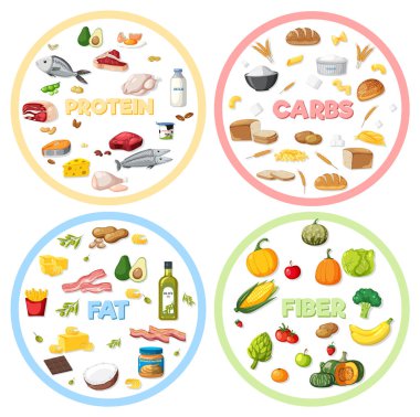 Dört ana besin grubu çizimi