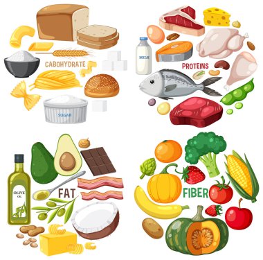 The four food groups illustration