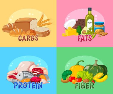 Dört ana besin grubu çizimi