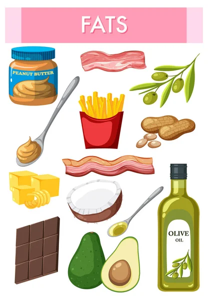 Variété Aliments Gras Illustration — Image vectorielle