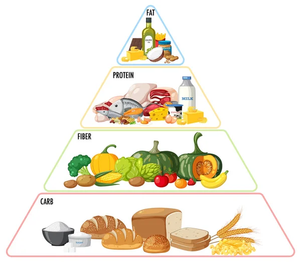 Élelmiszer Táplálkozás Csoportok Piramis Illusztráció — Stock Vector