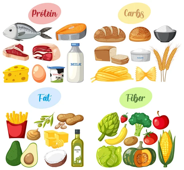 Four Food Groups Illustration — Image vectorielle