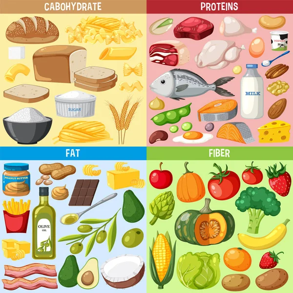 Τέσσερις Ομάδες Τροφίμων Εικονογράφηση — Διανυσματικό Αρχείο