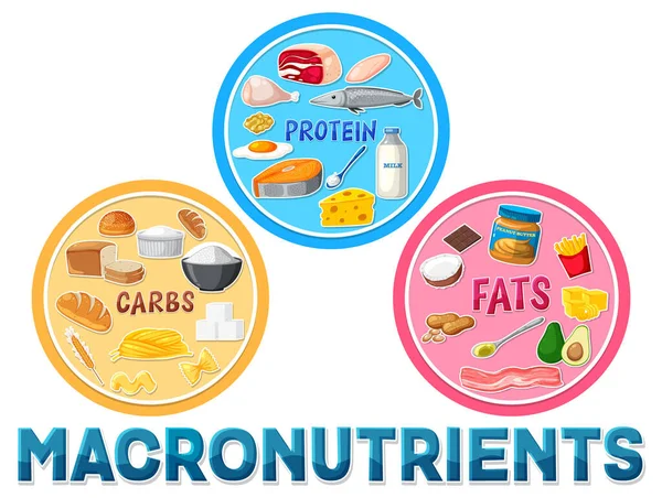 含食品配料说明的宏观营养素图 — 图库矢量图片