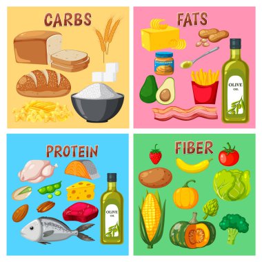 Dört ana besin grubu çizimi