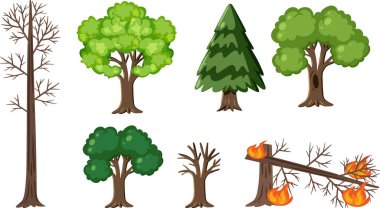 Set of tree in different condition illustration