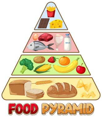 Besin grupları piramit çizimi