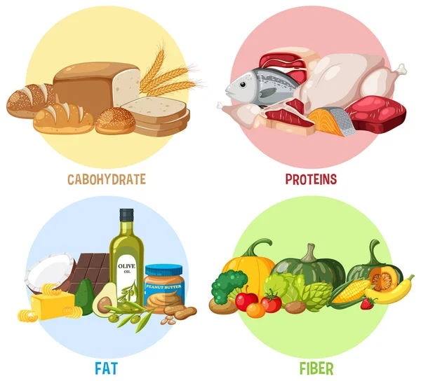 Four Food Groups Illustration — Wektor stockowy