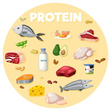 Protein gıdalarının çeşitliliği
