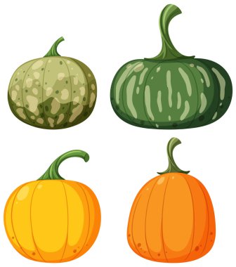 Set of different pumpkins vector illustration